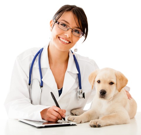 HEALTHFORPET
