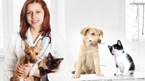 HEALTHFORPET SAÚDE PET